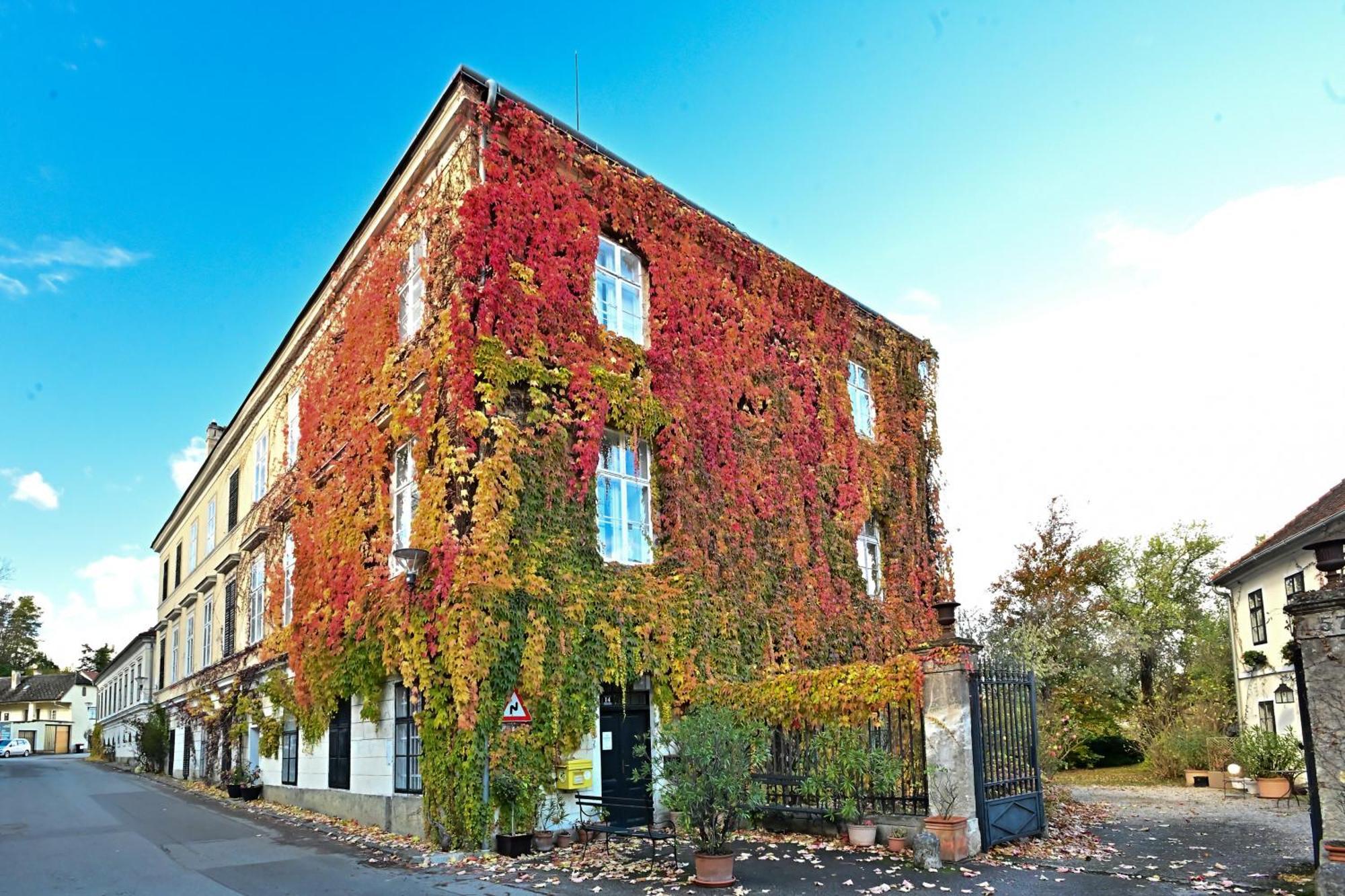 Schloss Hollenburg Aparte Apartments เครมส์ อัน แดร์โดเนา ภายนอก รูปภาพ